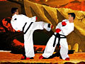 Taekwon-do az online játékhoz