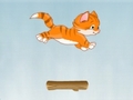 kitty Jump az online játékhoz