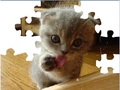 Aranyos Cat Puzzle az online játékhoz