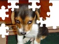 Cute Dog Puzzle az online játékhoz