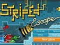 Bee Escape az online játékhoz