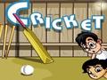 Galli Cricket az online játékhoz