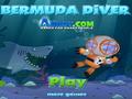 Bermuda Diver az online játékhoz