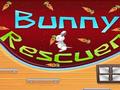 Bunny Rescuer az online játékhoz