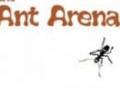 Ants Arena az online játékhoz