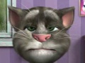 Talking Tom az online játékhoz