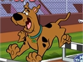 Scooby Doo - akadályfutás az online játékhoz